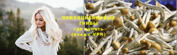 экстази Алексин