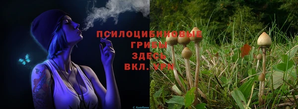 экстази Алексин
