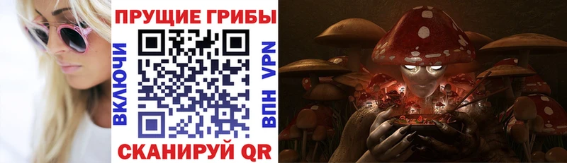 Псилоцибиновые грибы прущие грибы  где продают   KRAKEN   Чадан 