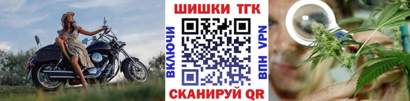 Марихуана гибрид  Чадан 